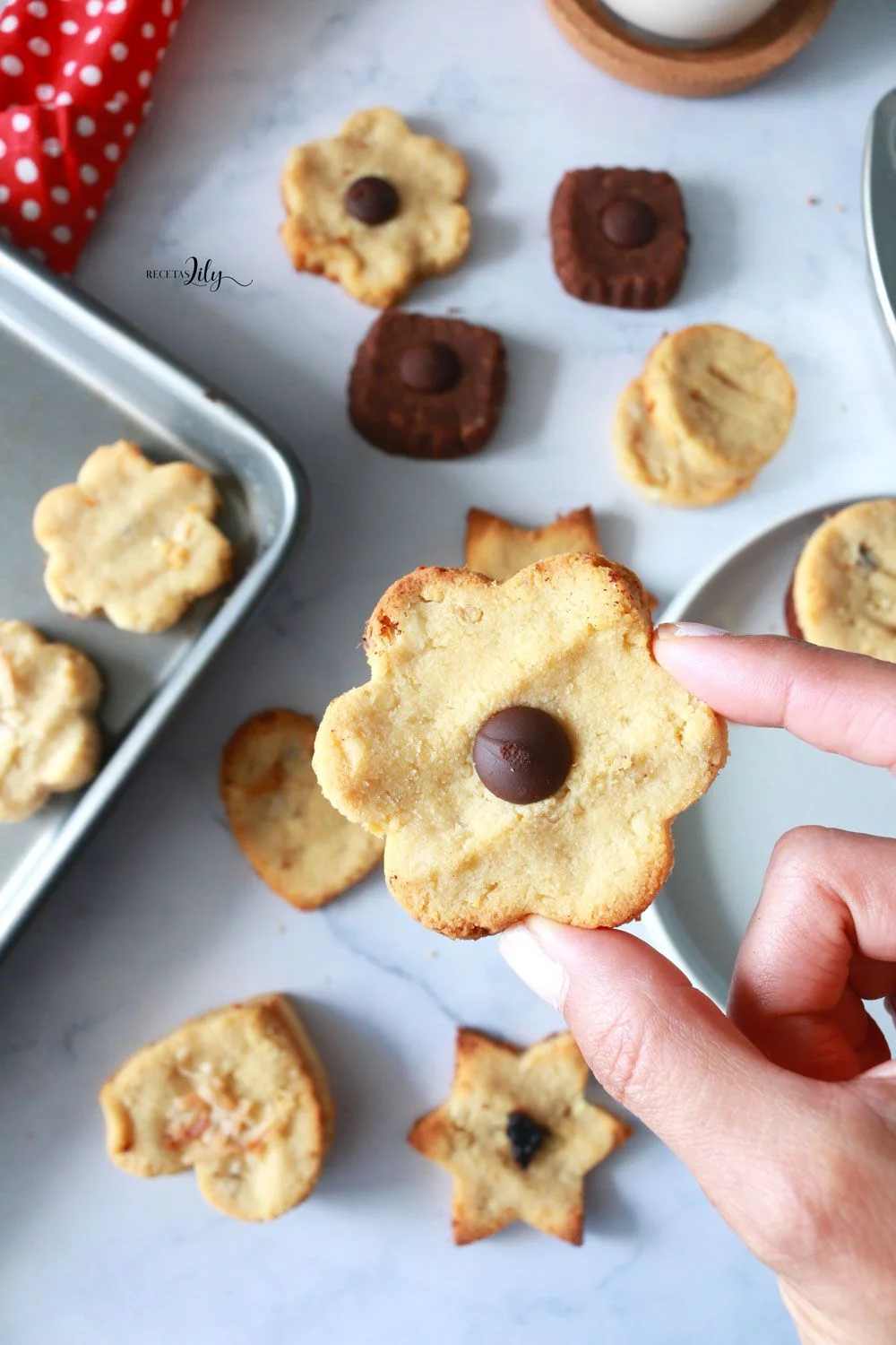 Galletas de mantequilla y galletas de chocolate sin azúcar