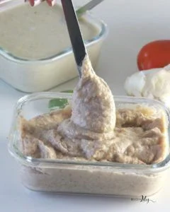 salsa bechamel de avena