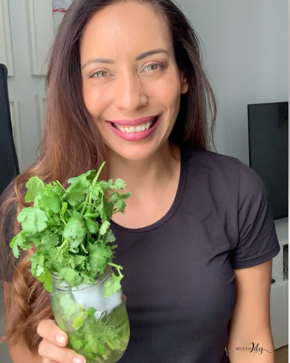 Cómo conservar el cilantro y otros vegetales Recetas Lily